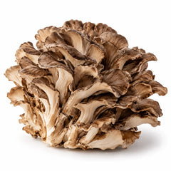 Maitake