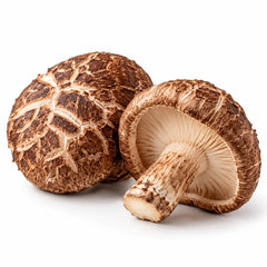 Shiitake