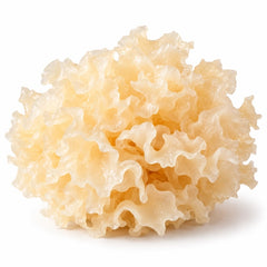 Tremella