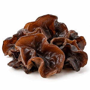 Black Fungus