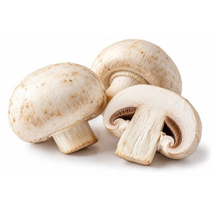 Champignon
