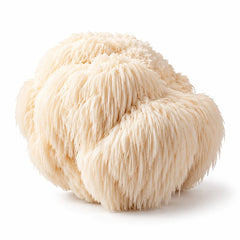 Lion's Mane