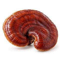 Reishi