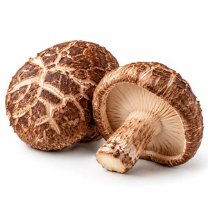 Shiitake